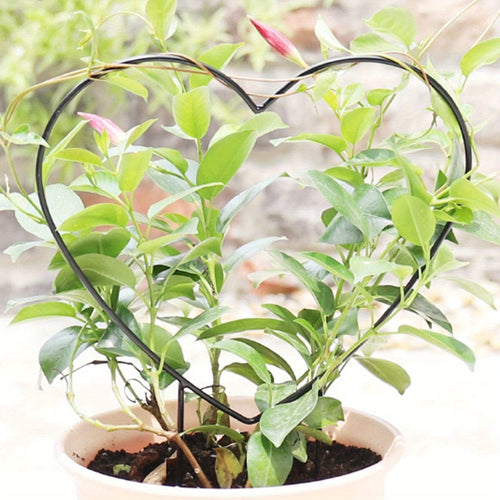 Planet Gates One Size Fits All Gorgeous Heart-Shaped Plant Support Stake - Perfect for Garden, Balcony & Flower Planting!