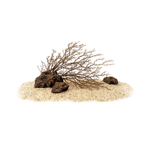 Planet Gates only landscape / Russian Federation Xiaomi Mijia Smart Fish Tank MYG100 Work With Mijia APP Mobile controlled remote feeding  Smart Lighting System Light Aquarium