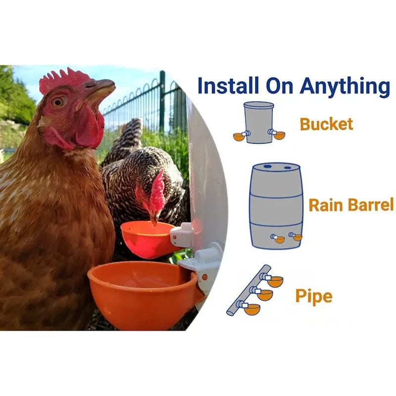 Planet Gates Orange 5 Pcs Chicken Drinker Automatic Poultry Drinker Automatic Chicken Drinkers Bowls For Birds Poultry