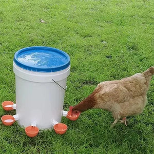 Planet Gates Orange 5 Pcs Chicken Drinker Automatic Poultry Drinker Automatic Chicken Drinkers Bowls For Birds Poultry