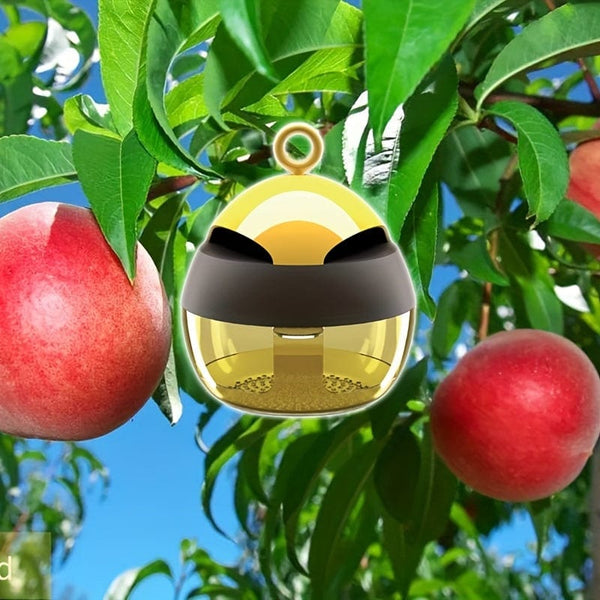 Planet Gates Pack Of 1 1pc, Effective Solution For Controlling Wasps In Outdoor Gardens And Orchards, Indoor And Outdoor Insect Traps, Indoor Outdoor House Kitchen Plants Trees Flying Insects, Pest Control