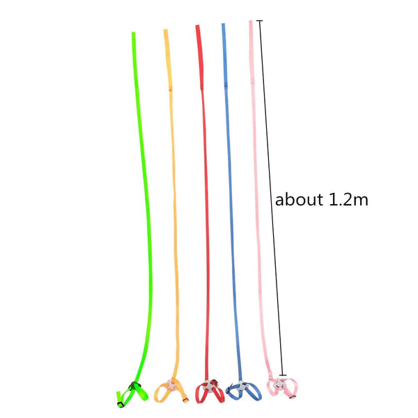 Planet Gates Parrot Bird Hamster Turtle lizard leash Outdoor Flying Traction Straps  Adjustable Anti-Bite Training Rope bird training supplie