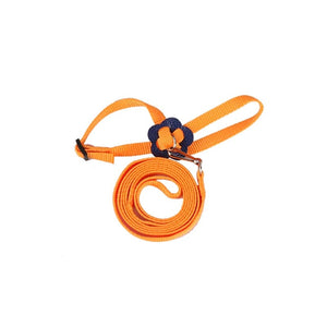 Planet Gates Parrot Bird Hamster Turtle lizard leash Outdoor Flying Traction Straps  Adjustable Anti-Bite Training Rope bird training supplie