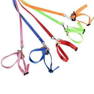 Planet Gates Parrot Bird Hamster Turtle lizard leash Outdoor Flying Traction Straps  Adjustable Anti-Bite Training Rope bird training supplie