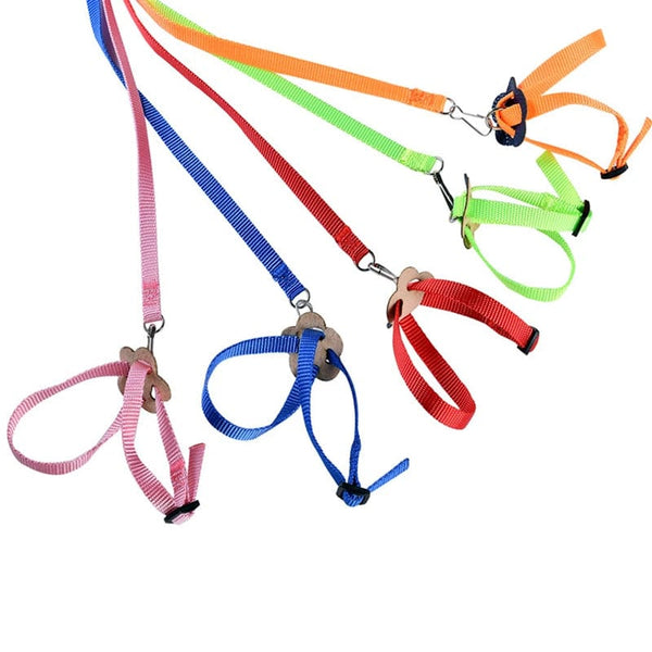 Planet Gates Parrot Bird Hamster Turtle lizard leash Outdoor Flying Traction Straps  Adjustable Anti-Bite Training Rope bird training supplie