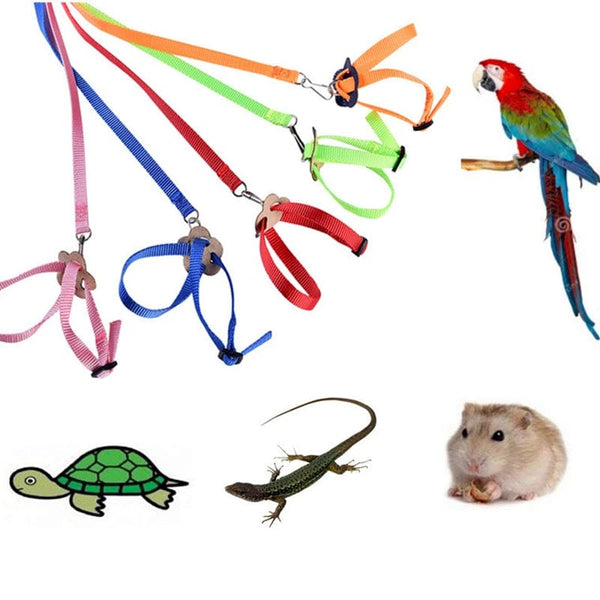 Planet Gates Parrot Bird Hamster Turtle lizard leash Outdoor Flying Traction Straps  Adjustable Anti-Bite Training Rope bird training supplie