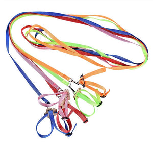 Planet Gates Parrot Bird Hamster Turtle lizard leash Outdoor Flying Traction Straps  Adjustable Anti-Bite Training Rope bird training supplie
