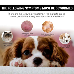 Planet Gates Pet Anti-Flea Drops Mites Insect Repellent for Formula Cats Dogs Flea Removers Flea Lice Killer Spray Anti Itching Care Products