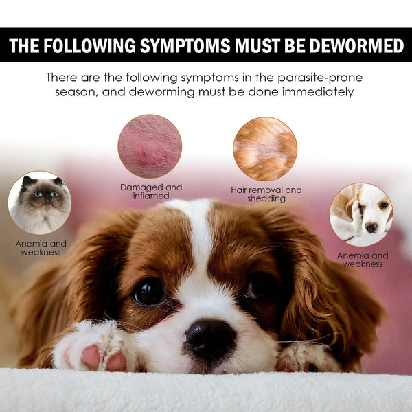 Planet Gates Pet Anti-Flea Drops Mites Insect Repellent for Formula Cats Dogs Flea Removers Flea Lice Killer Spray Anti Itching Care Products