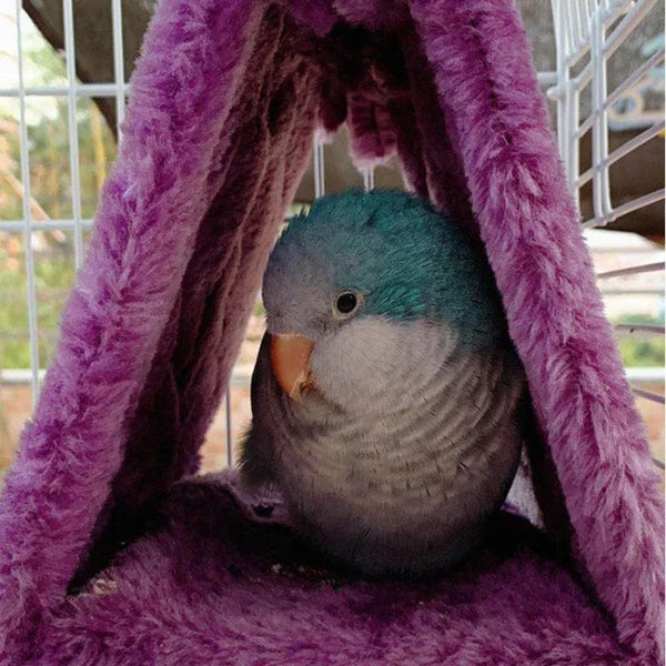 Planet Gates Pet Bird Parrot Cages Warm Hammock Hut Tent Fashion Bed Hanging Cave for Sleeping and Hatching Cage Decoration