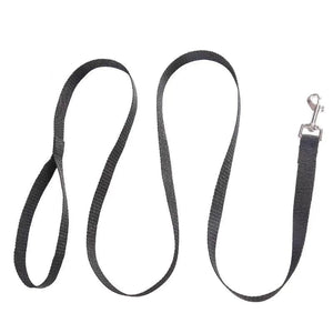 Planet Gates Pet Dog Leash Nylon Leash For Small Medium Dogs Cats Puppy Walking Running Leashes Lead Pet Supplies-1.5M 1.8M 3M 4.5M 6M Length