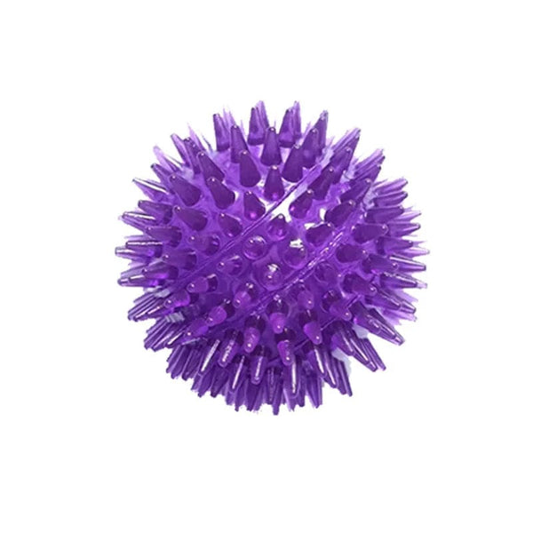 Planet Gates Pet Dog Toys Cat Puppy Sounding Toy Polka Squeaky Tooth Cleaning Ball TPR Training Pet Teeth Chewing Toy Thorn Balls Accessories