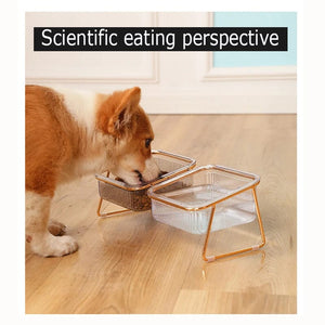 Planet Gates Pet Double Bowl Transparent High Foot Cat Bowl Drink water Cat Food With Golden Stand Raised Water Feeder Dog Bowl Supplies