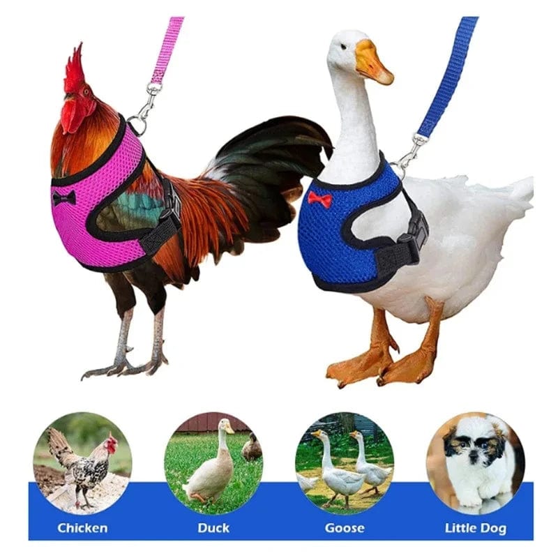 Planet Gates Pet Duck Chicken Poultry Chicken Clothes Chicken Vest Hen Belt Pet Harness Matching Collars Bow Poultry Supplies
