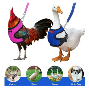 Planet Gates Pet Duck Chicken Poultry Chicken Clothes Chicken Vest Hen Belt Pet Harness Matching Collars Bow Poultry Supplies