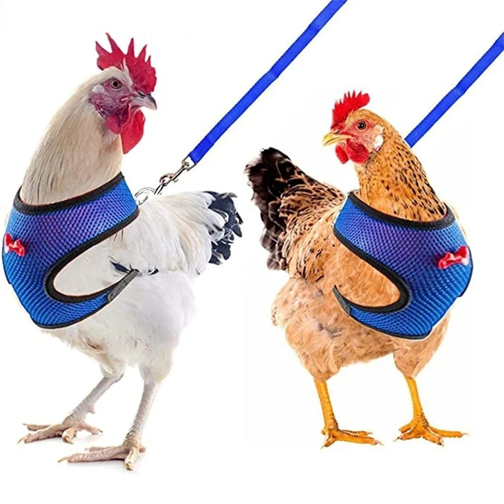 Planet Gates Pet Duck Chicken Poultry Chicken Clothes Chicken Vest Hen Belt Pet Harness Matching Collars Bow Poultry Supplies