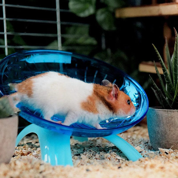 Planet Gates Pet Hamster Flying Saucer Exercise Squirrel Wheel Hamster Mouse Running Disc