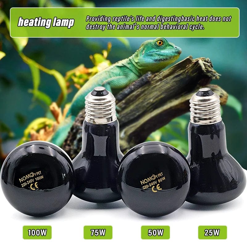 Planet Gates Pet Heating Lamp E27 Night Lamp For Amphibian Snake Lamp Heat Reptile Bulb UV Light 25W 50W 75W 100W AC220-240V