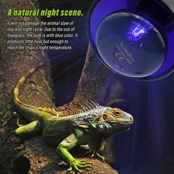 Planet Gates Pet Heating Lamp E27 Night Lamp For Amphibian Snake Lamp Heat Reptile Bulb UV Light 25W 50W 75W 100W AC220-240V