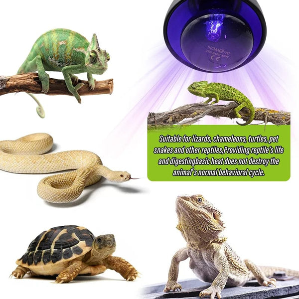 Planet Gates Pet Heating Lamp E27 Night Lamp For Amphibian Snake Lamp Heat Reptile Bulb UV Light 25W 50W 75W 100W AC220-240V