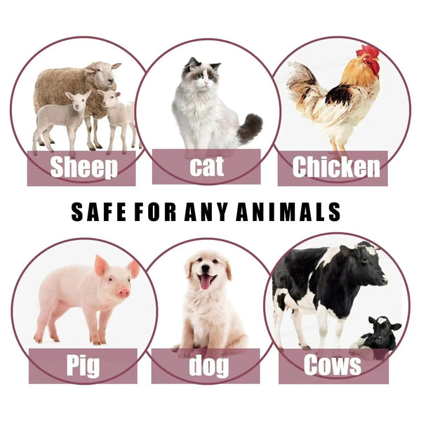 Planet Gates Pet insect repellent spray Drive away fleas lice ticks Sterilization Relieve skin itching Suitable for deworming cats and dogs