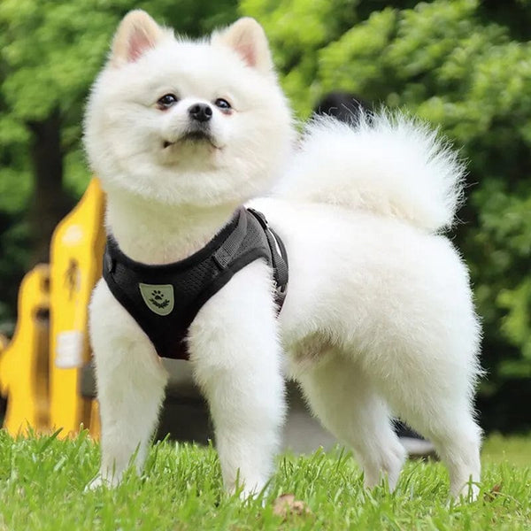 Planet Gates Pet Leash Undershirt Type Harness Breathable Reflective Adjustable Chest Harness Outdoor Dog Carrying Supplies