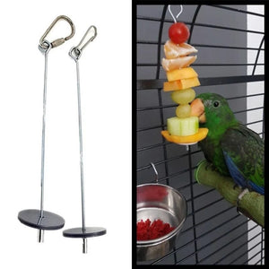 Planet Gates Pet Parrots Birds Food Holder Stainless Steel Fruit Spear Stick Fruit Vegetable Skewer Feeder Foraging Toys Metal Bird Feeder