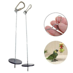 Planet Gates Pet Parrots Birds Food Holder Stainless Steel Fruit Spear Stick Fruit Vegetable Skewer Feeder Foraging Toys Metal Bird Feeder