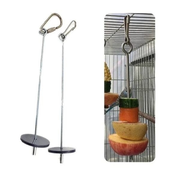 Planet Gates Pet Parrots Birds Food Holder Stainless Steel Fruit Spear Stick Fruit Vegetable Skewer Feeder Foraging Toys Metal Bird Feeder