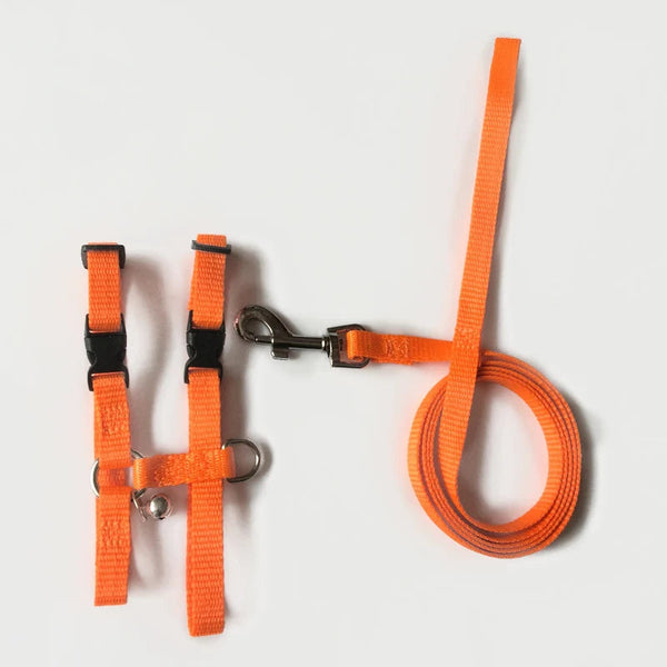 Planet Gates Pet Rabbit Soft Harness Leash Adjustable Bunny Traction Rope for Running Walking SAL99