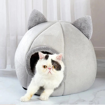Cats Beds &amp; Furnitures