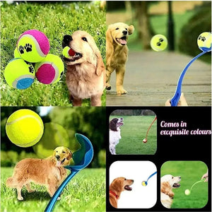 Planet Gates Pet Throwing Stick Dog  Hand Throwing Ball Toys Pet Tennis Launcher Pole Outdoor Activities Dogs Training Toys Pet Supplies
