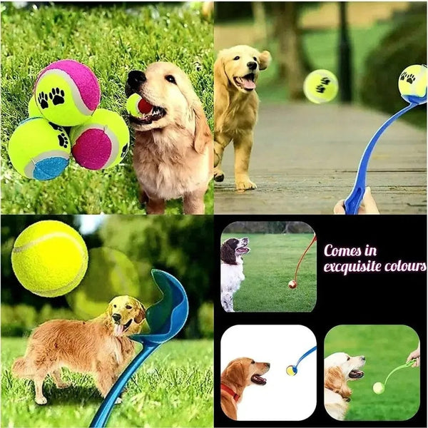Planet Gates Pet Throwing Stick Dog  Hand Throwing Ball Toys Pet Tennis Launcher Pole Outdoor Activities Dogs Training Toys Pet Supplies