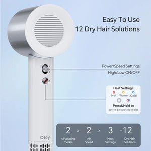 Planet Gates Pink 2 Nozzles / EU Oley High-speed Hair Dryer 900W Lightweight Powerful Brushless Motor Low Noise Quick Dryer Negative Ionic Blow Dryer