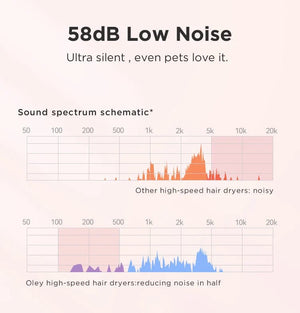 Planet Gates Pink 2 Nozzles / EU Oley High-speed Hair Dryer 900W Lightweight Powerful Brushless Motor Low Noise Quick Dryer Negative Ionic Blow Dryer