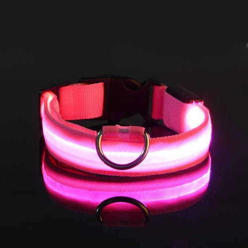 Planet Gates Pink / M Nylon LED Night Safety Flashing Glow In The Dark Dog Leash Dogs Luminous Fluorescent Pet Dog Collar