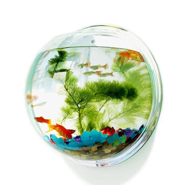 Planet Gates Pinsjar Acrylic Fish Bowl Wall Hanging Aquarium Tank Aquatic Pet Supplies Pet Products Wall Mount Fish Tank for Betta fish