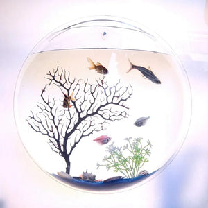 Planet Gates Pinsjar Acrylic Fish Bowl Wall Hanging Aquarium Tank Aquatic Pet Supplies Pet Products Wall Mount Fish Tank for Betta fish