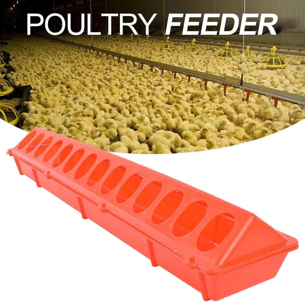Planet Gates Plastic Flip Top Poultry Feeder Birds feed Long Trough Water Bowl Farming Tool Box for Peacock Pheasants Cockatiels Chick Pigeon