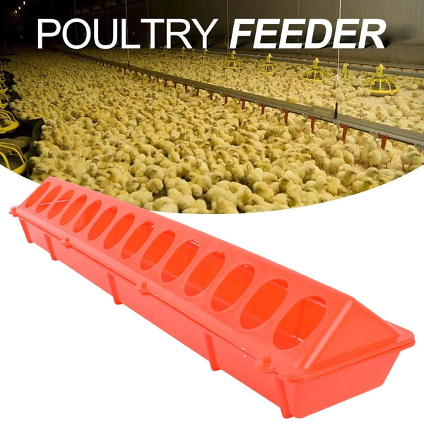 Planet Gates Plastic Flip Top Poultry Feeder Birds feed Long Trough Water Bowl Farming Tool Box for Peacock Pheasants Cockatiels Chick Pigeon
