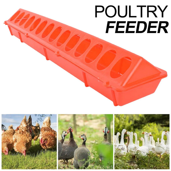 Planet Gates Plastic Flip Top Poultry Feeder Birds feed Long Trough Water Bowl Farming Tool Box for Peacock Pheasants Cockatiels Chick Pigeon