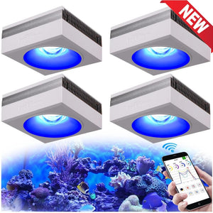 Planet Gates PopBloom RL90 WiFi Led Aquarium Light Reef Light Aquarium Tank Saltwater Coral Reef Growing Seawater Marine Aquarium Tank Lamp