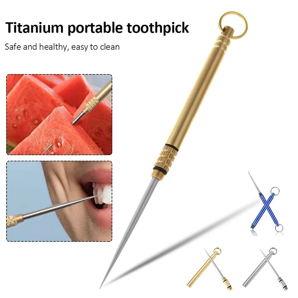 Planet Gates Portable Outdoor Tool Stainless Steel Toothpick Brass Creative Combination Stainless Steel Portable Toothpick Fruit Toothpick