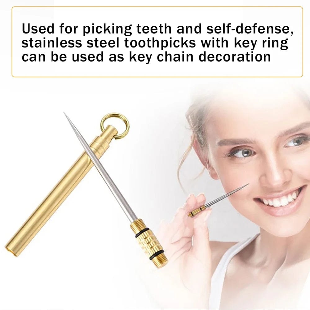 Planet Gates Portable Outdoor Tool Stainless Steel Toothpick Brass Creative Combination Stainless Steel Portable Toothpick Fruit Toothpick