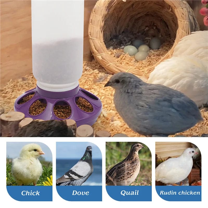 Planet Gates Red Poultry New Thickened Feeder and Drinker Water Food Dispenser Automatic Chicken Birds Chick Waterer Feeding Bucket Container 1L