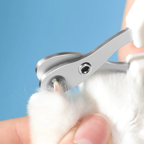 Planet Gates Professional Cat Nail Clippers for Small Cat Dog Stainless Steel Puppy Claws Cutter Pet Nail Grooming Clippers Trimmer