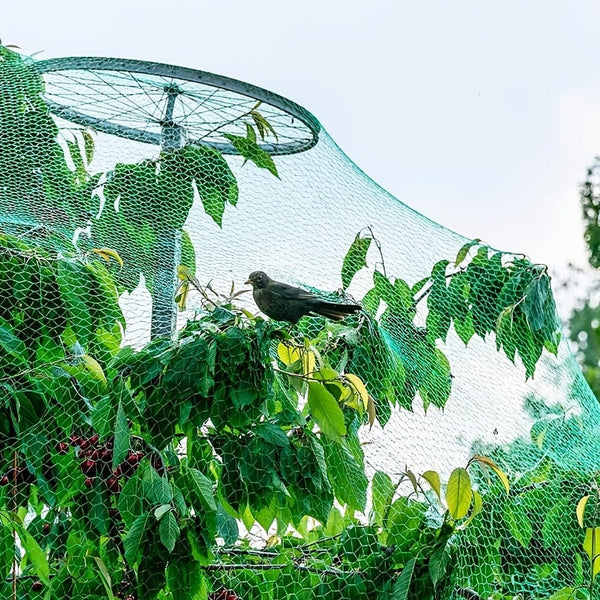 Planet Gates Protect Your Garden and Fruit Trees with 1 Pack of Durable Bird Netting - Keep Out Birds, Deer, Squirrels and Other Animals!