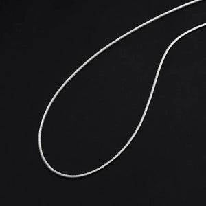 Planet Gates Punk Hip-hop 2MM Snake Link Chain 925 sterling silver Necklace for Men Women Silver Male Jewelry Gifts Cadenas Para Hombre