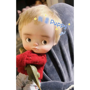Planet Gates Puppy KittyQ QBaby BJD Doll 1/6 Cute Expression Doll Fullset Anime Blythe Gift For Girls