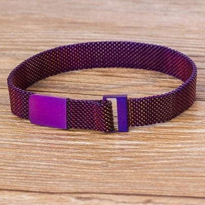 Planet Gates Purple Classic Stainless Steel Magnetic Mesh Strap Bracelets Watch Strap 7 Colors Choice For Men and Women Lovers Bangle Jewelry Gift
